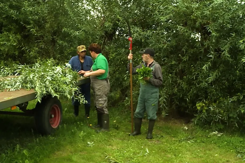 groene zorg aflevering 4 van loons hoekske afbeelding