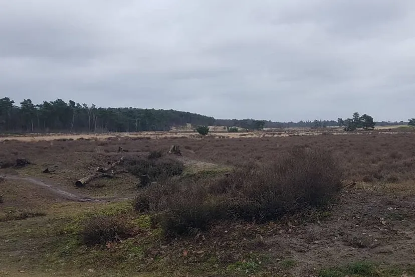 img 20210129 121943 211