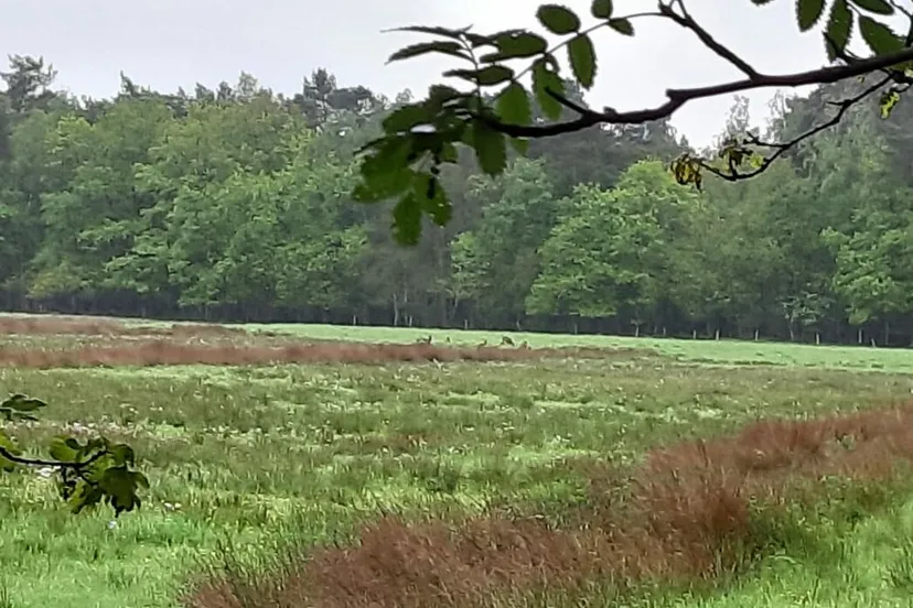 img 20210522 wa0013 e1649922175791