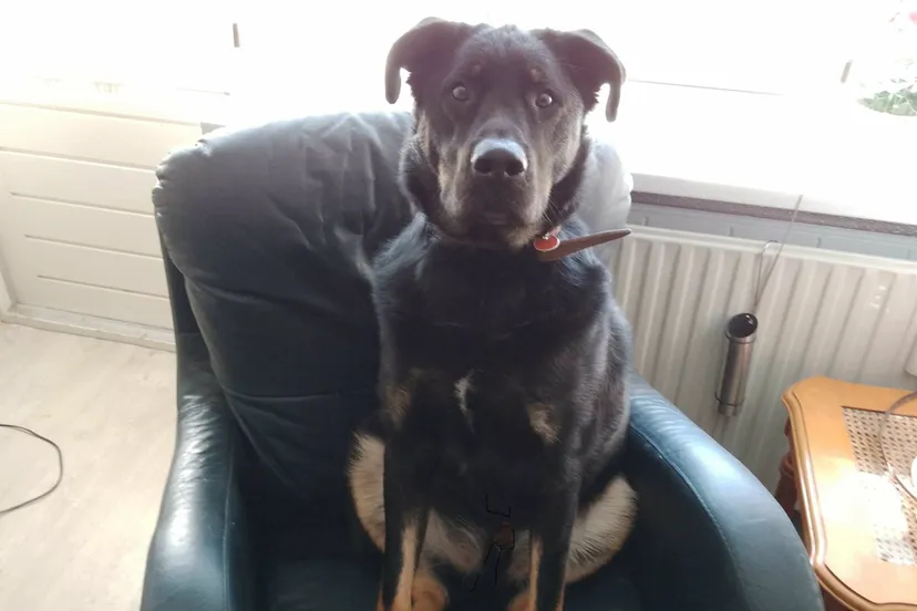 img 20230405 104807 569 scaled