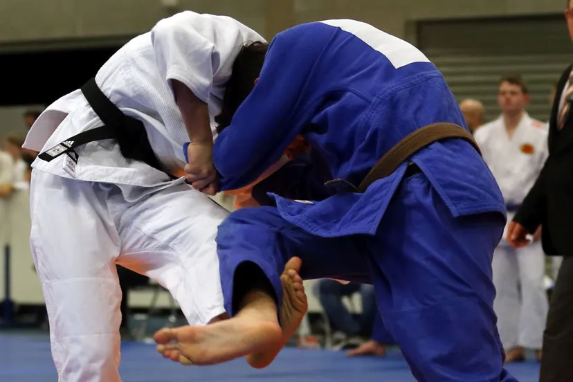 judo loz nieuws