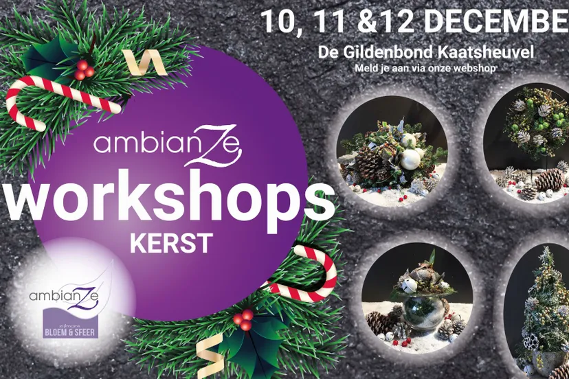 loon op zand nieuws banner