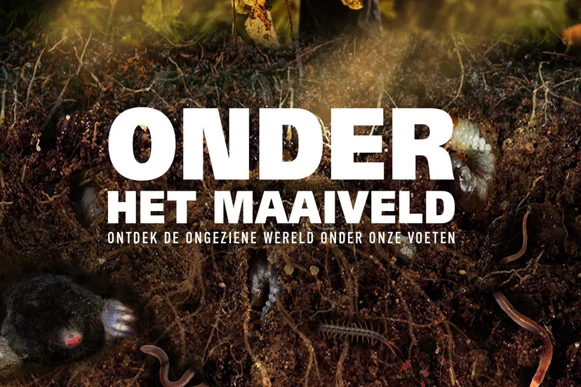 onder het maaiveld poster