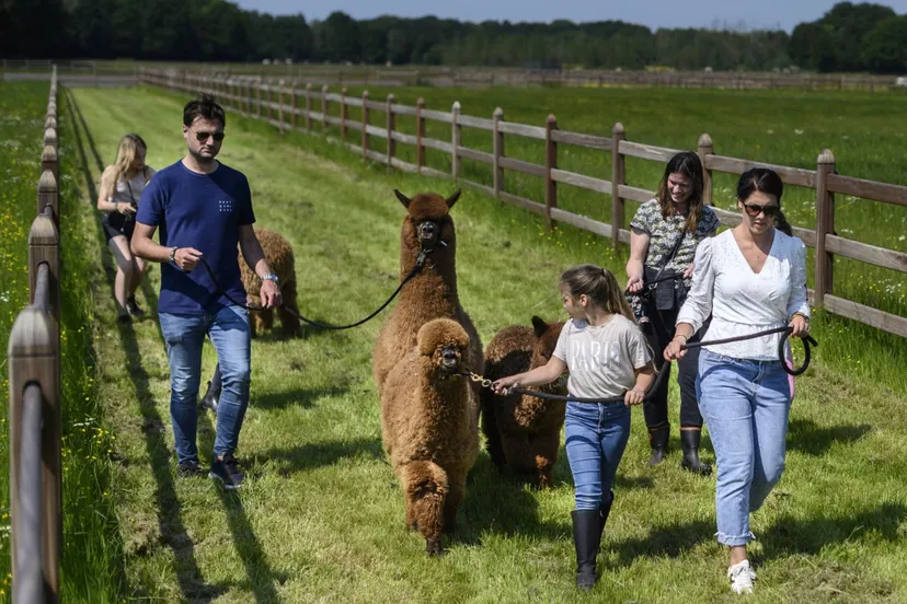 psdsc 5498 124x108 1 2048x1784 1