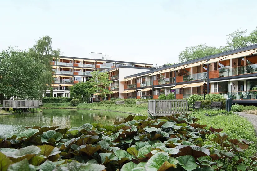 residentie molenwijck header home 001