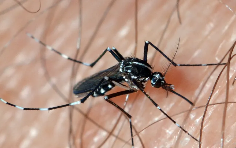 screenshot 20230918 113242 915x518 1