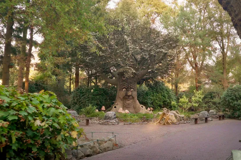 sprookjesbos sprookjesboom