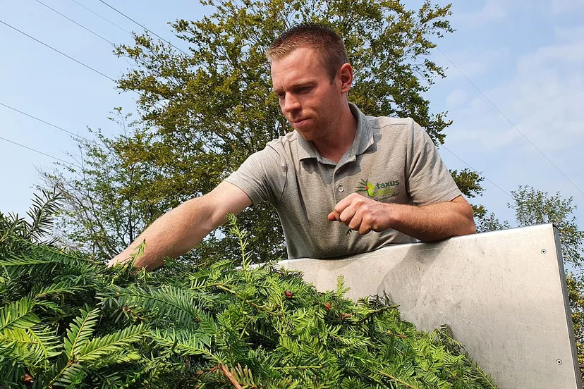 stichting taxux taxi