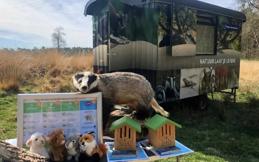 stuif es in wagen voorkant 915x518 1