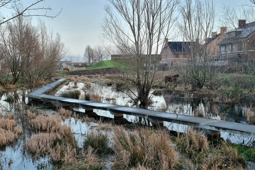 ws 2023 2024 foto reeshof bruggen