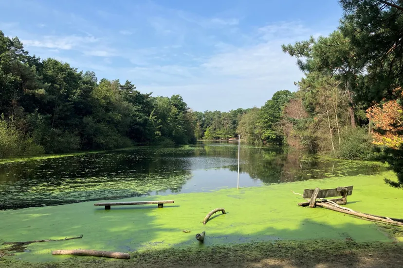 455160147 950162480475280 854390724800773738 n