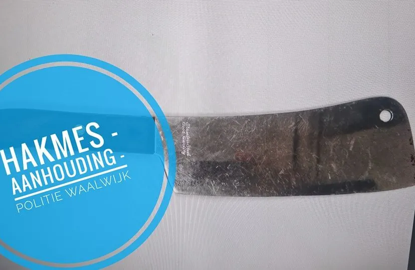 455875535 929352259225994 1481456561815742863 n