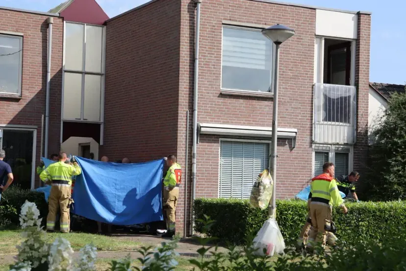 img 9354 66c9f108aaf29