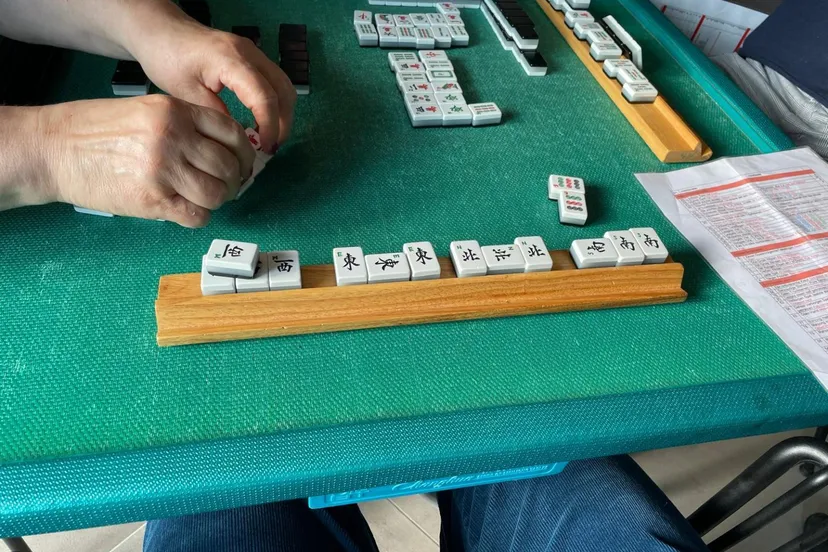 viergrotewinden wil 1536x1152