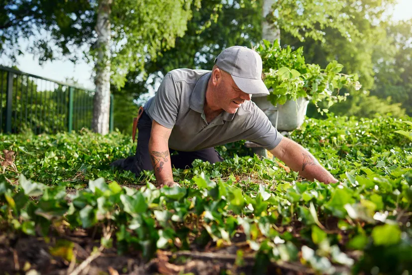 461941766 882481050647302 5458629455789008533 n