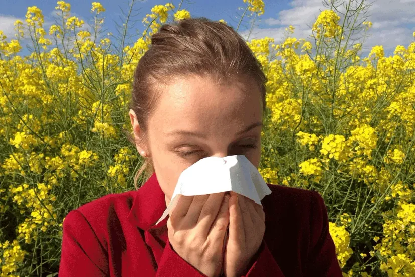 allergie cc0 via pixabay allergy 1738191 1280