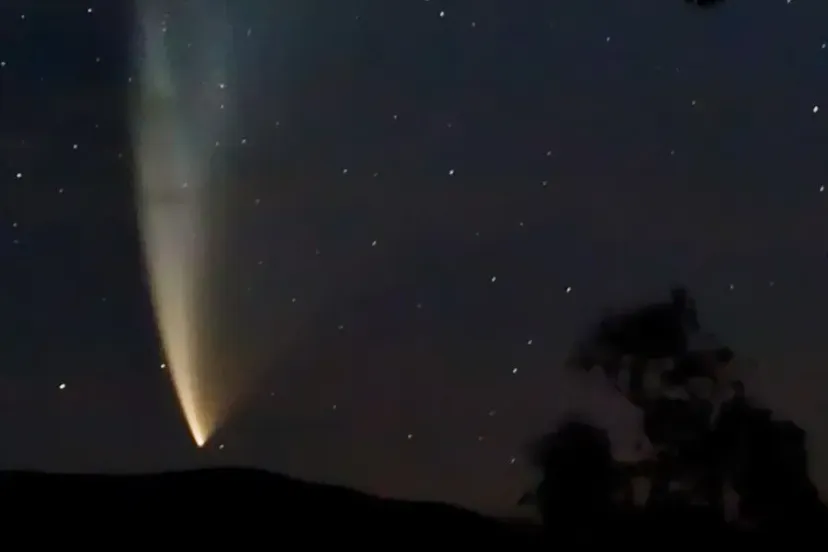 schermafbeelding 2024 10 14 133221 670d017be2c98