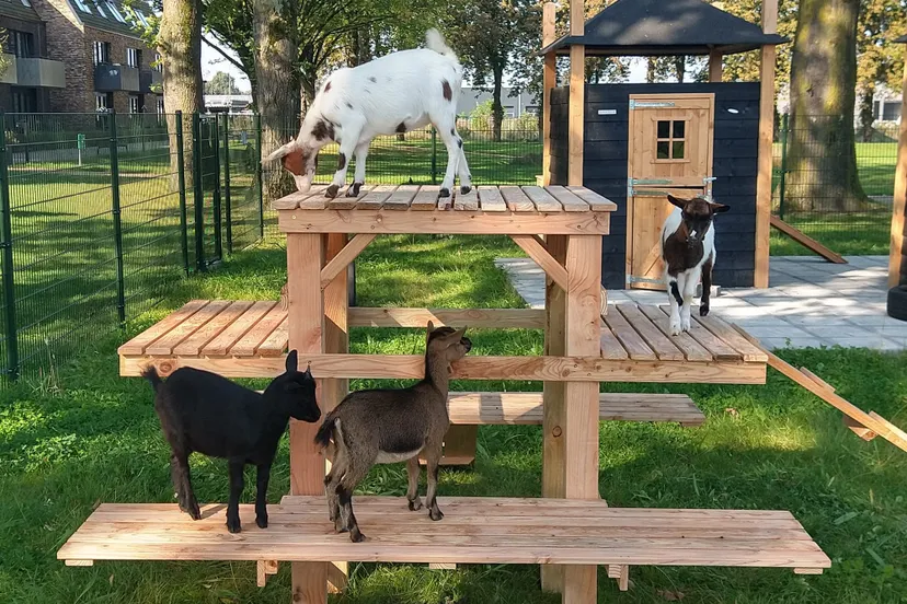 467490485 985352890297857 8617029012971437733 n