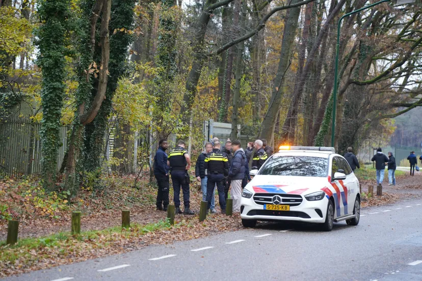 erik haverhals 20241119154138 0