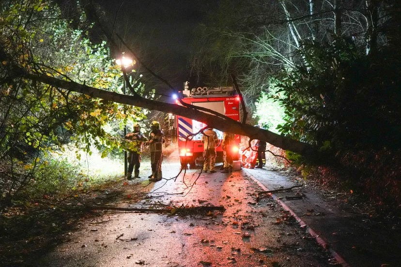 erik haverhals 20241206062520 0