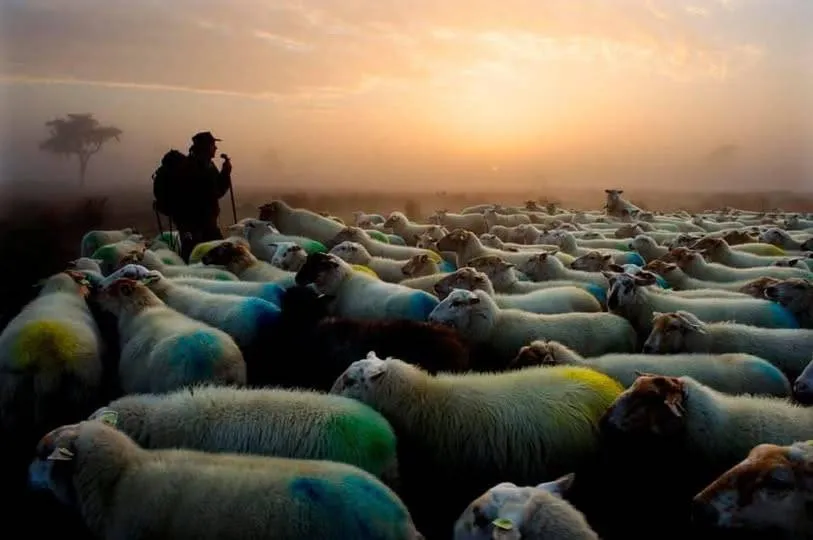 474994574 1024007073084477 7979277460280625012 n