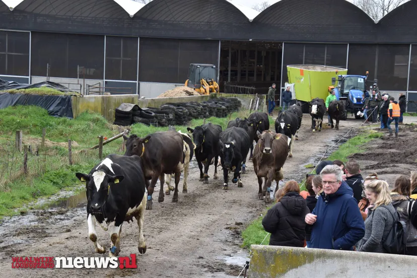 339573033 745614100558569 1102834311378879023 n