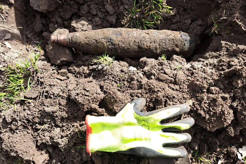 img 20250312 wa0011 002