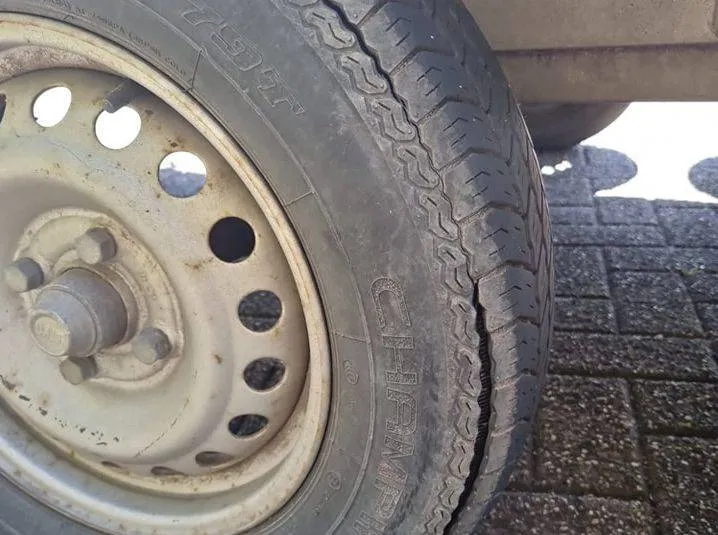 496602145 1132144678946750 8626126557169199136 n