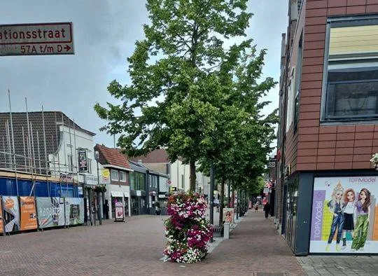 499933836 1144392004388684 7856507973652859054 n