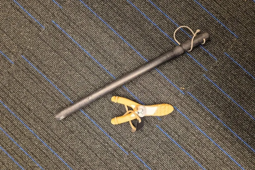 500817631 1146277650866786 8094522453876495436 n