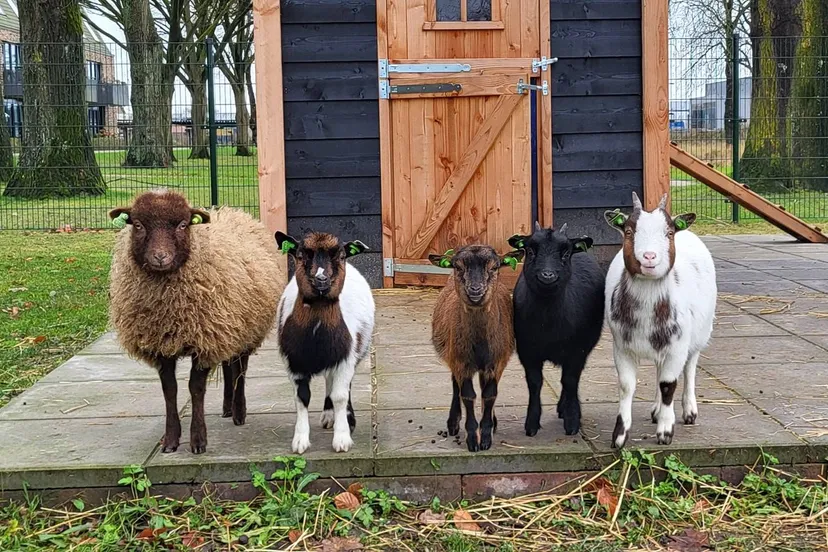 502411223 4021248791451738 316558628995188019 n