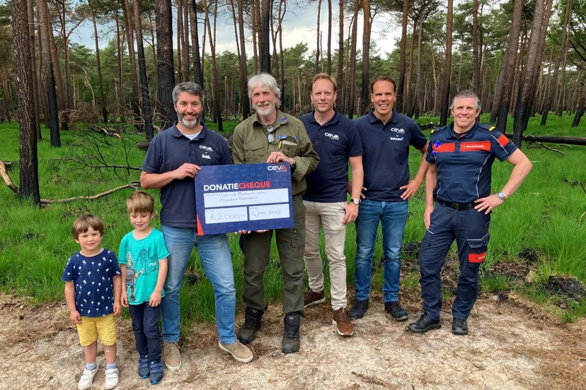 503726885 1192786592879533 203733631547380978 n