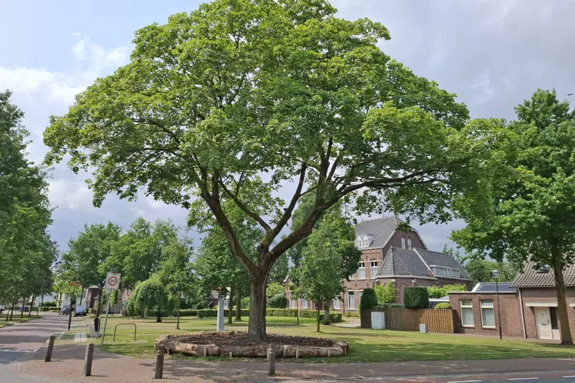 511542372 1069440051951400 3259355390292200532 n