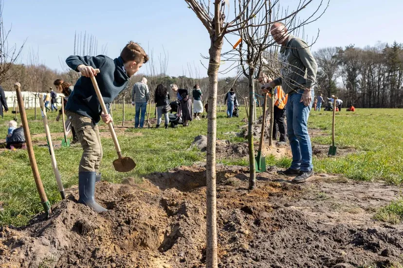 geboortebos 91 minjpg