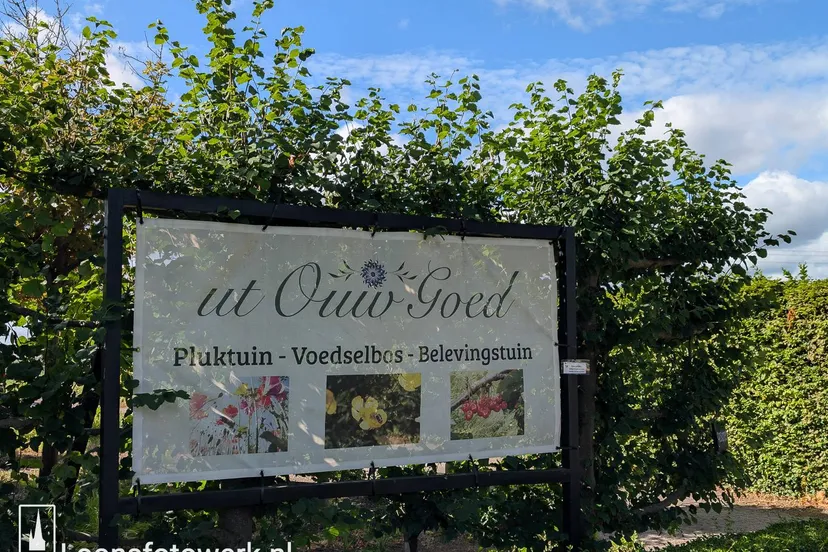 524816070_1328823618825947_1228871809293404696_n