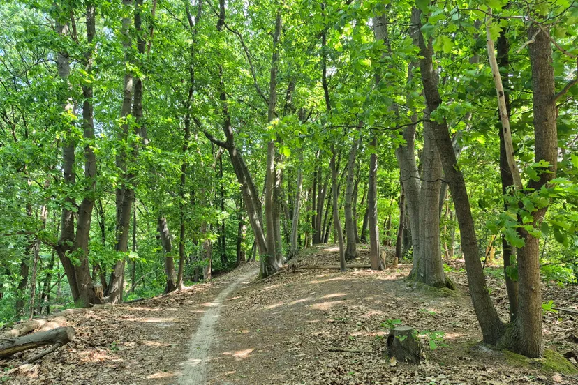 mountainbikeroute met Am eik