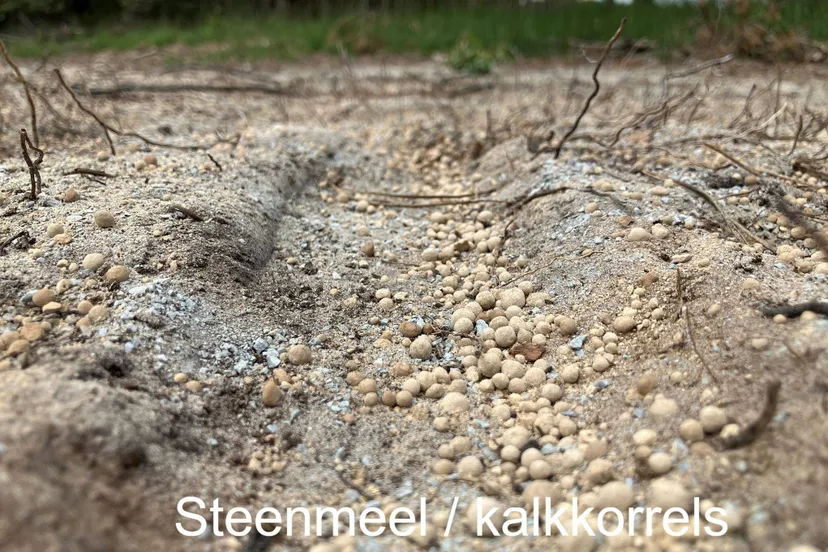 529345087_1246864914138367_697383465211049988_n