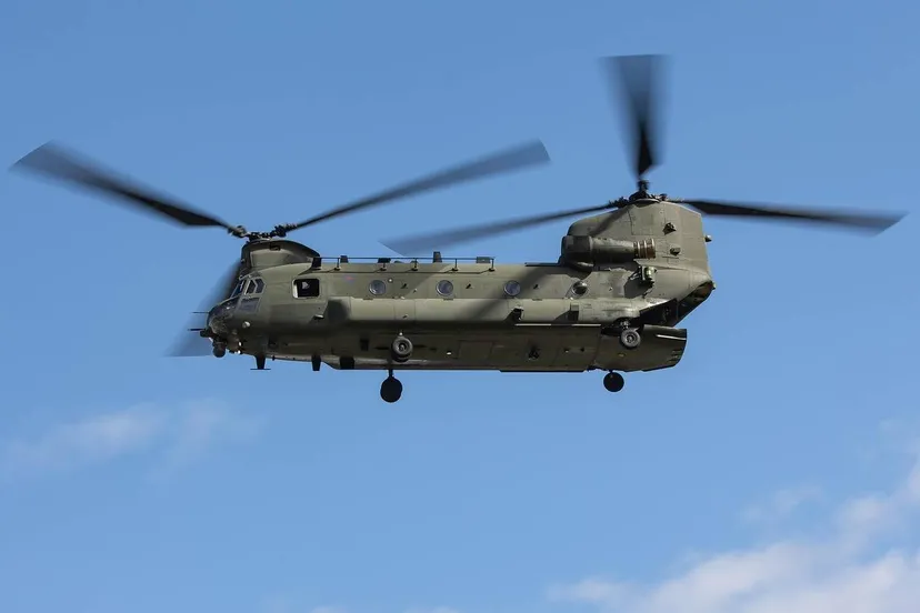 chinook