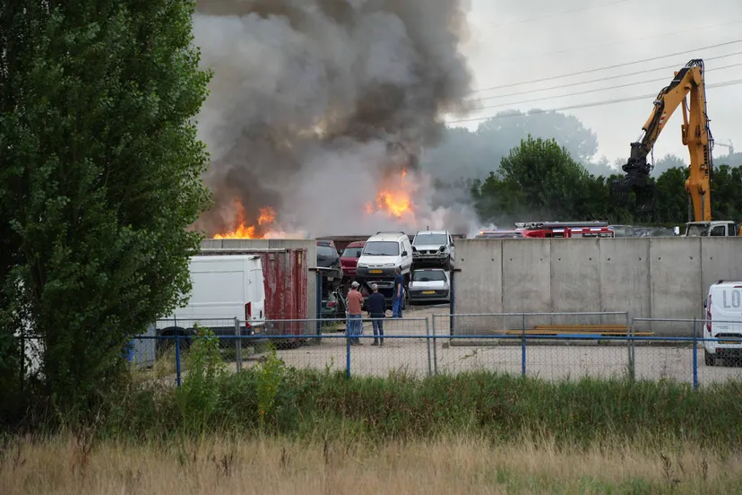 ERIK__HAVERHALS_SMALL_ERIK_HAVERHALS_35E13837-E766-4E3A-8875-C5ADA03D18BD