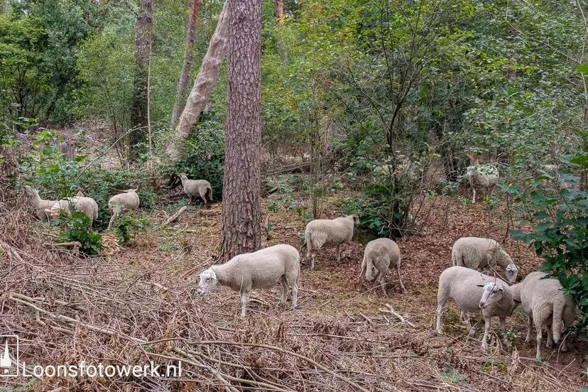 PXL_20250822_071254797