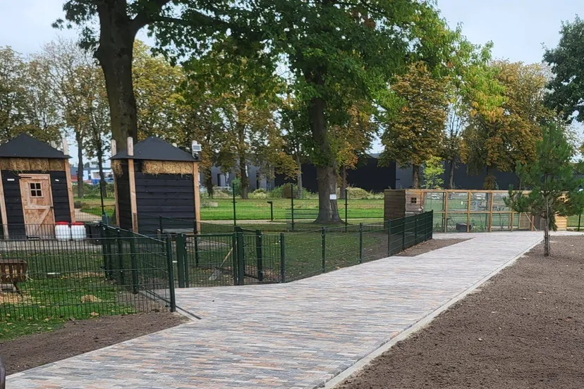 552194248_4132306327012650_1817316185865168736_n