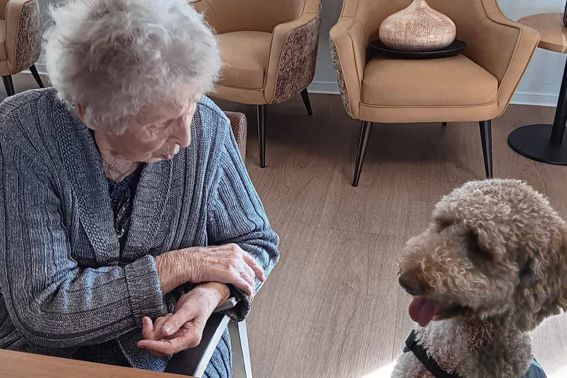 558160610_1255722823024605_3385378252388098738_n