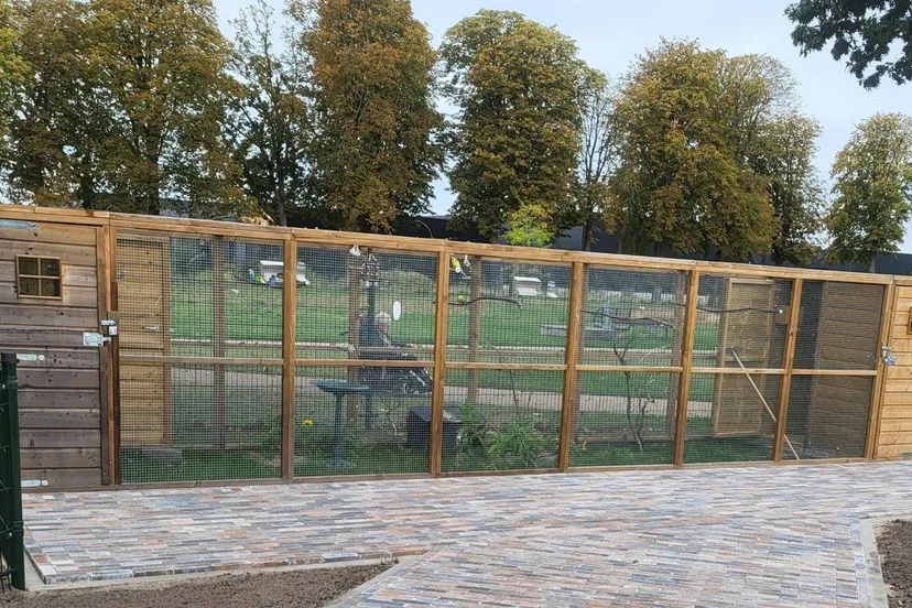 549700876_4132306620345954_6187972287274492688_n