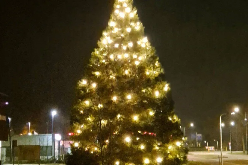 604776915_1319952076832675_7759536732791117078_n