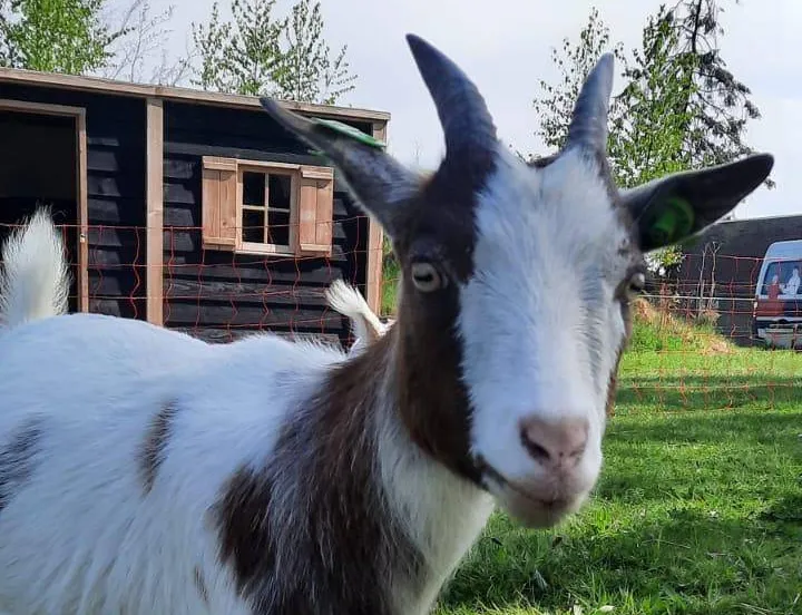 515933894_3170344386447909_3745725258046639909_n