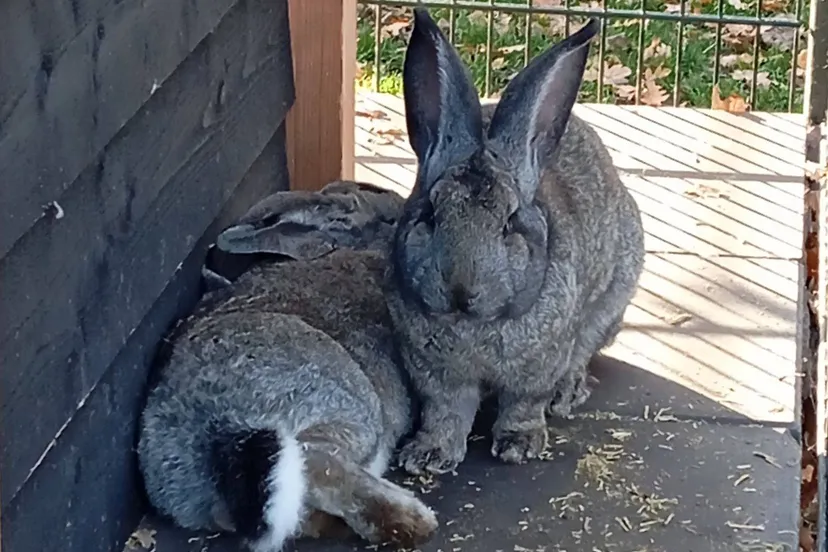 577338536_32234944222787512_9006347675254220963_n