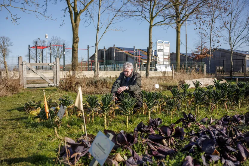Moestuin-van-Onder-d-n-Plag-foto-door-Angeline-Swinkels