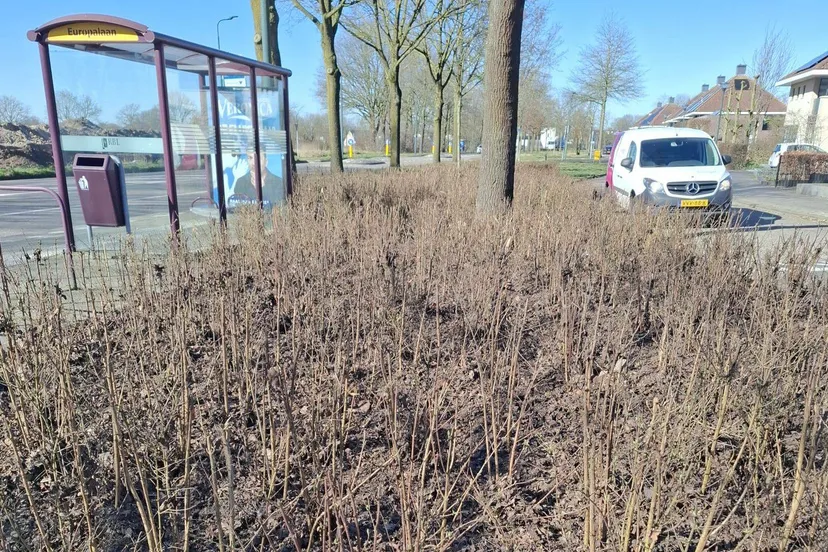 673496699_1302330101995726_8029599643310287094_n