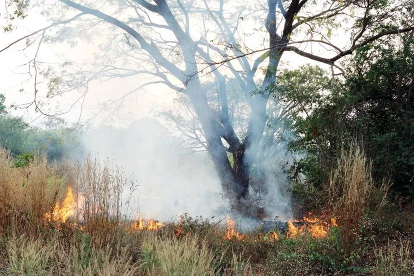 683211867_1411321104360493_3175914787630477310_n