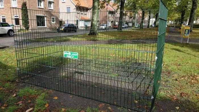bladkorven